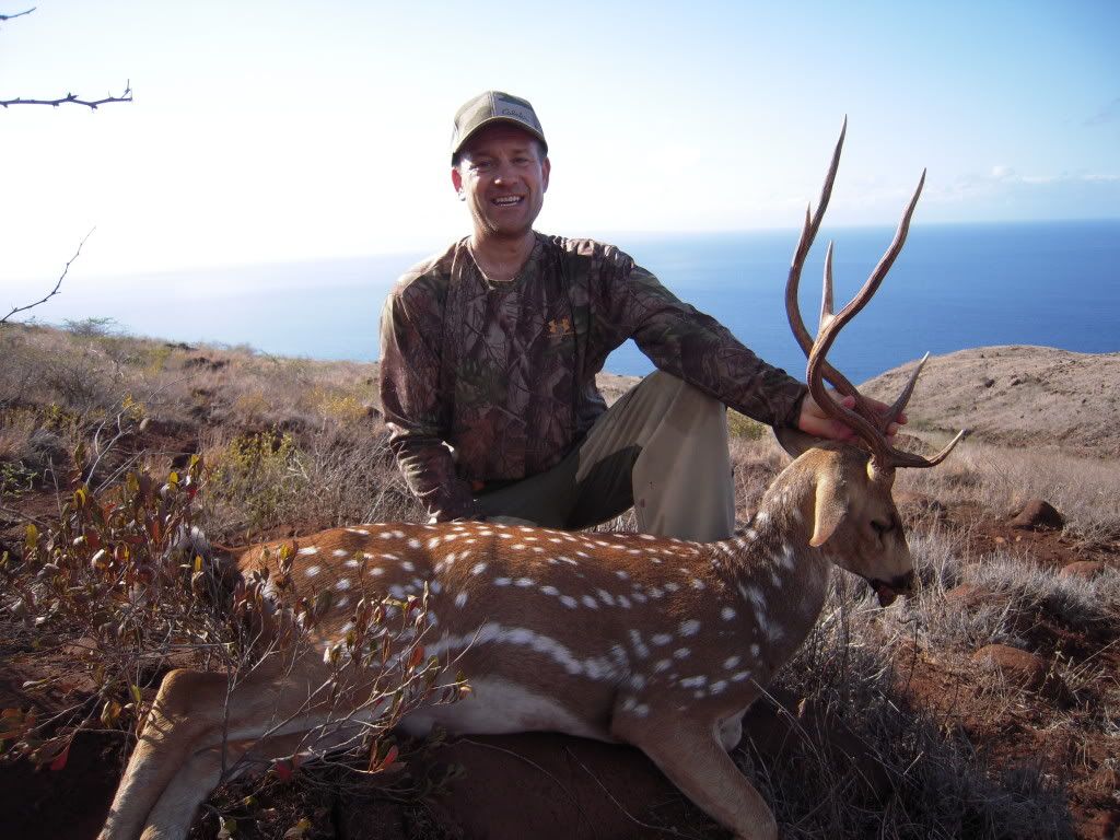 Axis Deer Hunting Lanai Hawaii Photo by 2good2 Photobucket